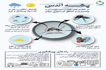 کلیات پشه آئدس